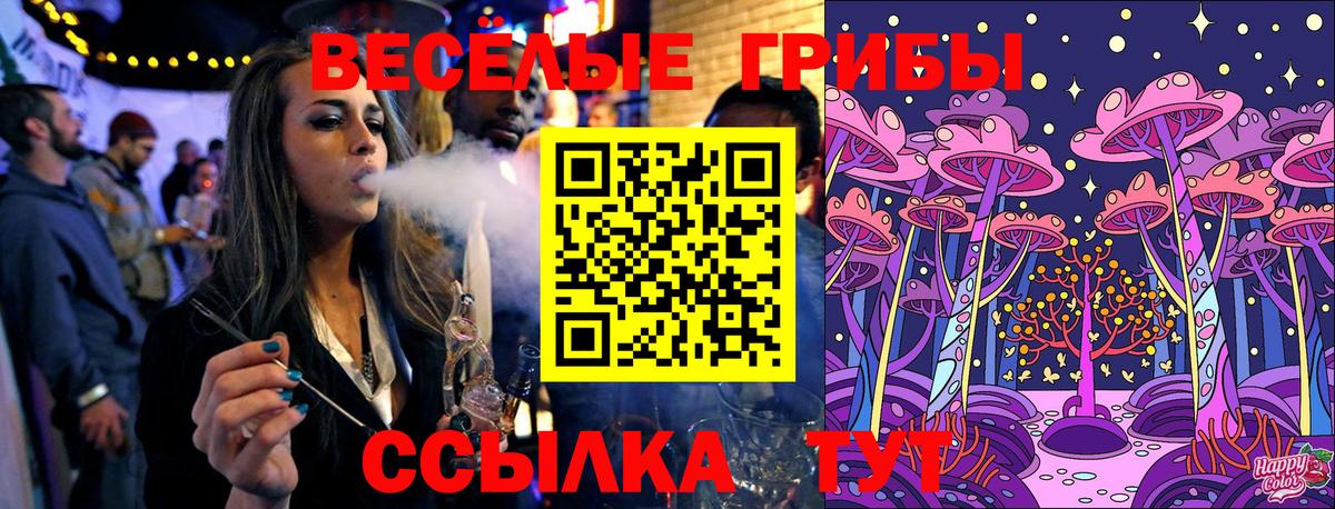 Лесосибирск  Галлюциногенные грибы Cubensis  Вход с VPN 
